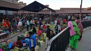 कालिमाटी तरकारी बजार को दृश्य kalimati Tarkari Bazar kathmandu Nepal [upl. by Berneta]