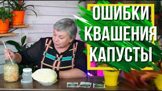 Ошибки при Квашении Капусты ✔️ Как Правильно квасить Капусту [upl. by Betteanne]