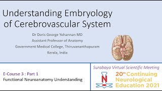 Embryology of Cerebrovascular System  CNE 2021  Surabaya Indonesia [upl. by Sinegra]