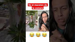 Ve el maceton de la comare 😂🤣 [upl. by Jer]