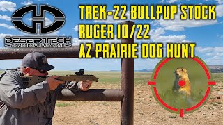 Desert Tech TREK22  Ruger 1022 Bullpup Stock  Overview with Prairie Dog Hunt [upl. by Melosa]