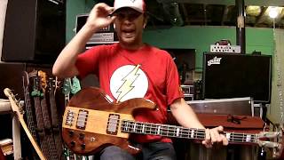 Whipping Post  The Allman Brothers Band Berry Oakley bass cover [upl. by Nylyaj]