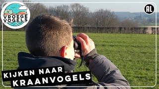 Kijken naar kraanvogels  Radio  Vroege Vogels [upl. by Notnats970]