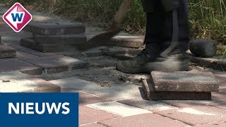 Uiteenlopende problemen door droogte van ongeluk tot dorstige kerstboom  OMROEP WEST [upl. by Liatrice596]