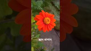 viralvideos gardening  aworld of flowers 🌹🌺 [upl. by Ajim]