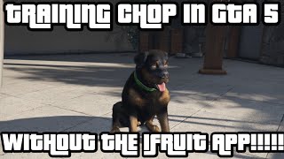 TRAINING CHOP WITHOUT THE IFRUIT APP IN GTA 5 [upl. by Rora]