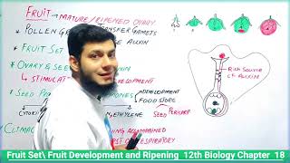 Fruit Setting Fruit Ripening  Fruit Development Role of Hormones in fruits Development 12class [upl. by Eleira]