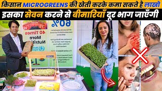 कम लागत लगाकर 100 गज में MICROGREENS की खेती कर के ले सकते है अच्छा मुनाफा  EMBRYONIC GREENS [upl. by Calley]