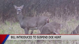 Bill introduced to suspend antlerless deer hunt in Northern Wisconsin [upl. by Plate]