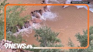 Hikers body found after Grand Canyon flash flooding [upl. by Remliw]