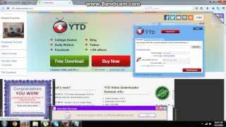 YTD video downloader free download [upl. by Albie]