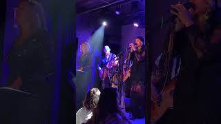 Tell Me Lies Tribute Band Rhiannon fleetwoodmac cover tribute classicrock shorts livemusic [upl. by Asenav]