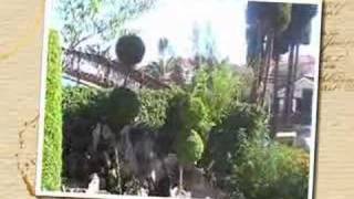 Louros Beach Hotel Kalamaki Zante Greece Real Holiday Reportswmv [upl. by Alver633]