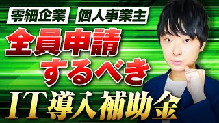 【2024年完全版】IT導入補助金を補助金のプロが解説 [upl. by Ardiek]