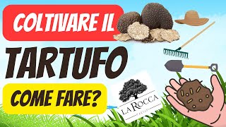 VUOI COLTIVARE il TARTUFO  Ti spieghiamo come si fa [upl. by Marissa126]