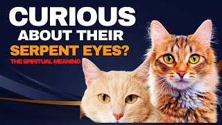 The Spiritual Meaning  quotUnveiling Why Your Cat Has Strange Serpent Eyesquot [upl. by Bobbe]