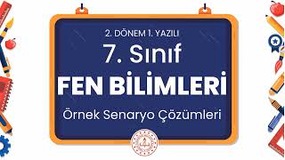 7 Sınıf Fen Bilimleri 2 Dönem 1 Yazılı Örnek Senaryo Çözümleri [upl. by Llemhar]