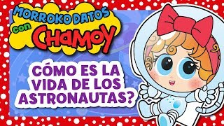 Cómo es la vida de los astronautas  Morrokodatos con Chamoy  Distroller [upl. by Holly261]