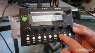 Audiothingies MicroMonsta synth review [upl. by Tnomal]