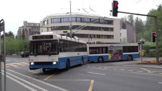 Maihof VBL trolleybus 260 [upl. by Alahsal]