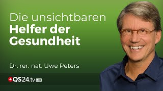 Entsäuerung amp Entgiftung Wie bioidentische Enzyme unser Leben verändern können  Naturmedizin QS24 [upl. by Negeam588]