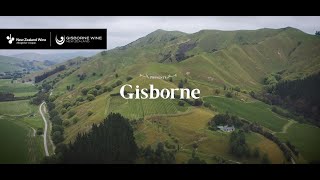 Gisborne Wine Region [upl. by Christianity]