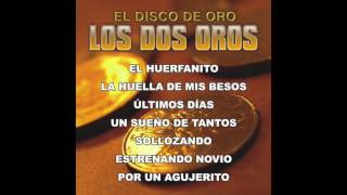 Los Dos Oros  El Disco De Oro Disco Completo [upl. by Heyra]