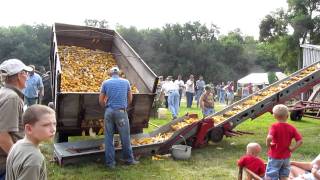 2011 Tippecanoe Steam and Power Show Unloading Ear Corn 72911 [upl. by Nnylecyoj70]