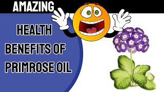 The Health Benefits of Evening Primrose Oil A Comprehensive Guide [upl. by Elburr14]