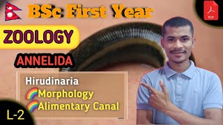 L2 Morphology amp Alimentary Canal Of Hirudinaria ● ANNELIDA ● BSc First Year ● ZOOLOGY ● TU [upl. by Carl]