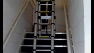 Eastern Trading Multipurpose Telescopic Ladder [upl. by Zorina718]