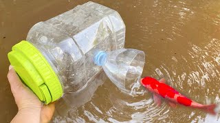 Unique Fish Trapping Tool using 5L Bottle  AMAZING FISH TRAP [upl. by Kalin286]