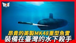 【MK48】昂貴的美製MK48重型魚雷，裝備在臺灣的水下殺手恐怖的深水炸彈，一枚可擊沉一艘大型驅逐艦 [upl. by Dawes305]