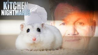 these chefs need a rat under their hat  Kitchen Nightmares [upl. by Barcroft]