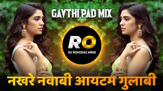 Nakhre Nawabi item Gulabi  DJ Song Remix Zapun Zapun  Halgi Mix  जपुन जपुन जा रे पुढे धोका आहे [upl. by Aneleiram]