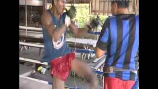 Buakaw Highlight 2010 [upl. by Harvey]