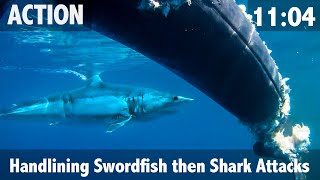 Matt Watson Handlines Swordfish then Shark Attacks [upl. by Bear]