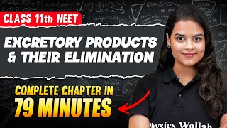 EXCRETORY PRODUCTS amp THEIR ELIMINATION in 79 Minutes  FULL Chapter For NEET  PhysicsWallah [upl. by Arednaxela]