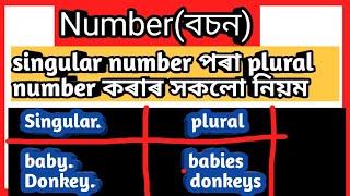 singular number and plural number singular number to plural number number English grammar example [upl. by Clance807]