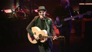 Niente da capire Live  Francesco De Gregori 2015 [upl. by Philcox]