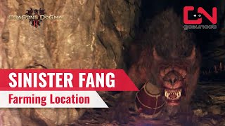 Dragons Dogma 2 Sinister Fang Farming Location [upl. by Camilla]