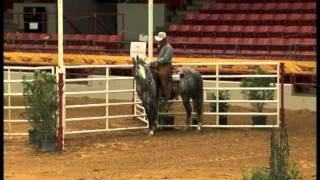 2013 AQHA Verstality Ranch Horse Amateur World Champion [upl. by Brodeur]