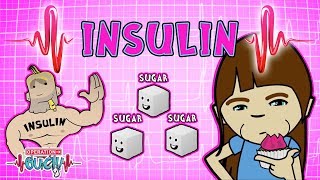 Operation Ouch  Insulin  Endocrine System [upl. by Eelibuj]