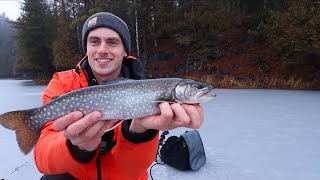 Ice Fishing on SECRET Backcountry Lakes for Splake [upl. by Neras]