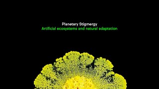 Stigmergy Artificial ecosystems and natural adaptation [upl. by Airot878]