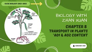 IGCSE Biology  Chapter 8  Transport In Plants [upl. by Cesare]