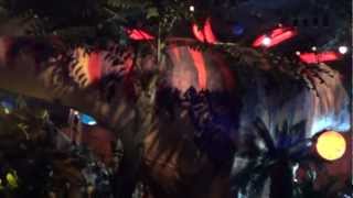 Meteor Shower inside TREX restaurant Downtown Disney [upl. by Warthman]