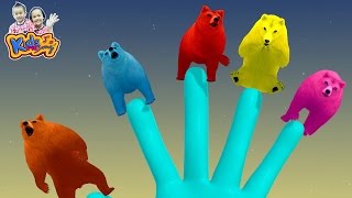 The Bear Finger Family Song Collection By KidsMeSong [upl. by Nauwtna583]