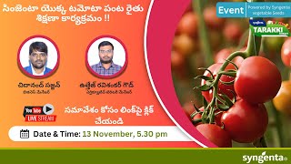 Syngenta Tomato Agronomy Session [upl. by Vel]