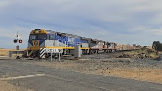 4MA9 SCT Freight CF4430SCT001SCT007 Laverton to Penfield 1745 201124 Langi Logan VIC [upl. by Ennaeilsel]